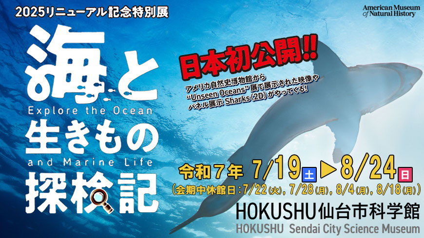 2025特別展　海と生きもの探検記