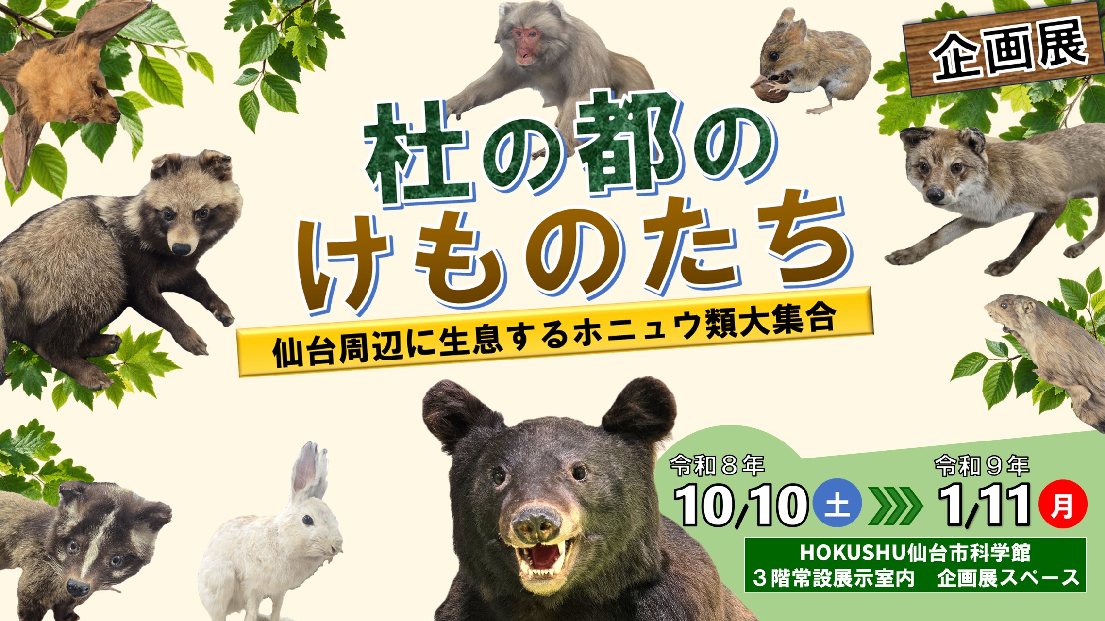 企画展・杜の都のけものたち